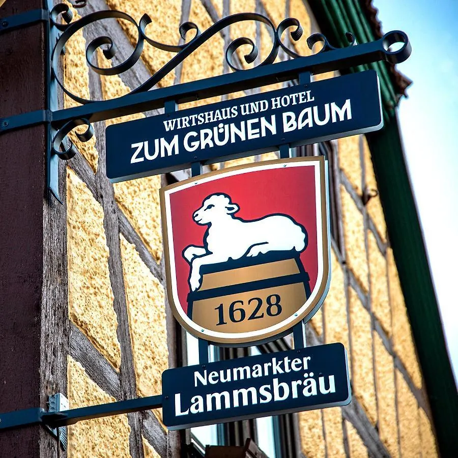 Boutique-Hotel Zum Grünen Baum Alzenau Hotel