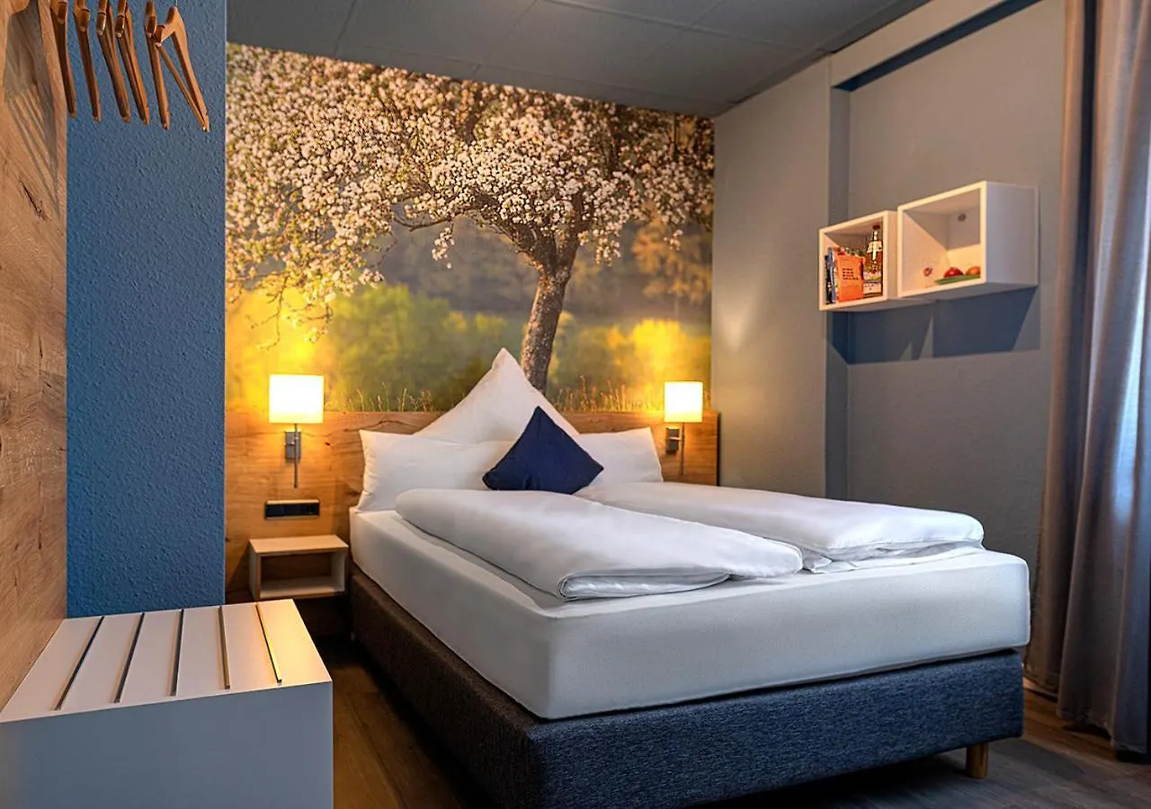 Boutique-Hotel Zum Grünen Baum Alzenau Allemagne